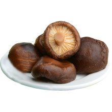 Comida saludable Conservas Conservas Shiitake Seta